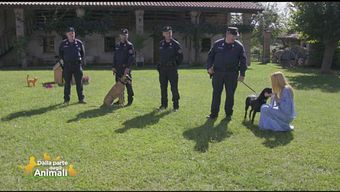 L'unità cinofila dei carabinieri forestali contro le esche avvelenate